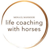 Life Coaching mit Pferden